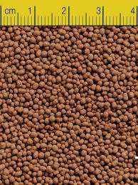 🌿 Fish Food Collection – Feed Your Tank, Not Just Your Fish