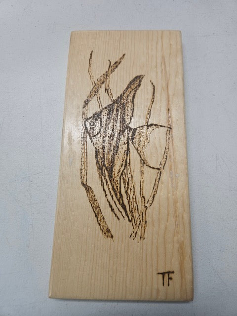 🌿 Striped Angelfish Pyrography – Hand-Burned Aquarium Art by Tom Foxwell