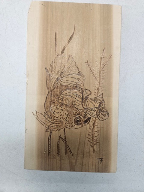 ๐ฟ Graceful Betta Pyrography โ Hand-Burned Aquatic Art by Tom Foxwell