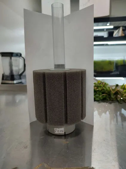 🧽 Medium Sponge Filter – Silent, Reliable Filtration for 10–30 Gallon Natural Aquariums