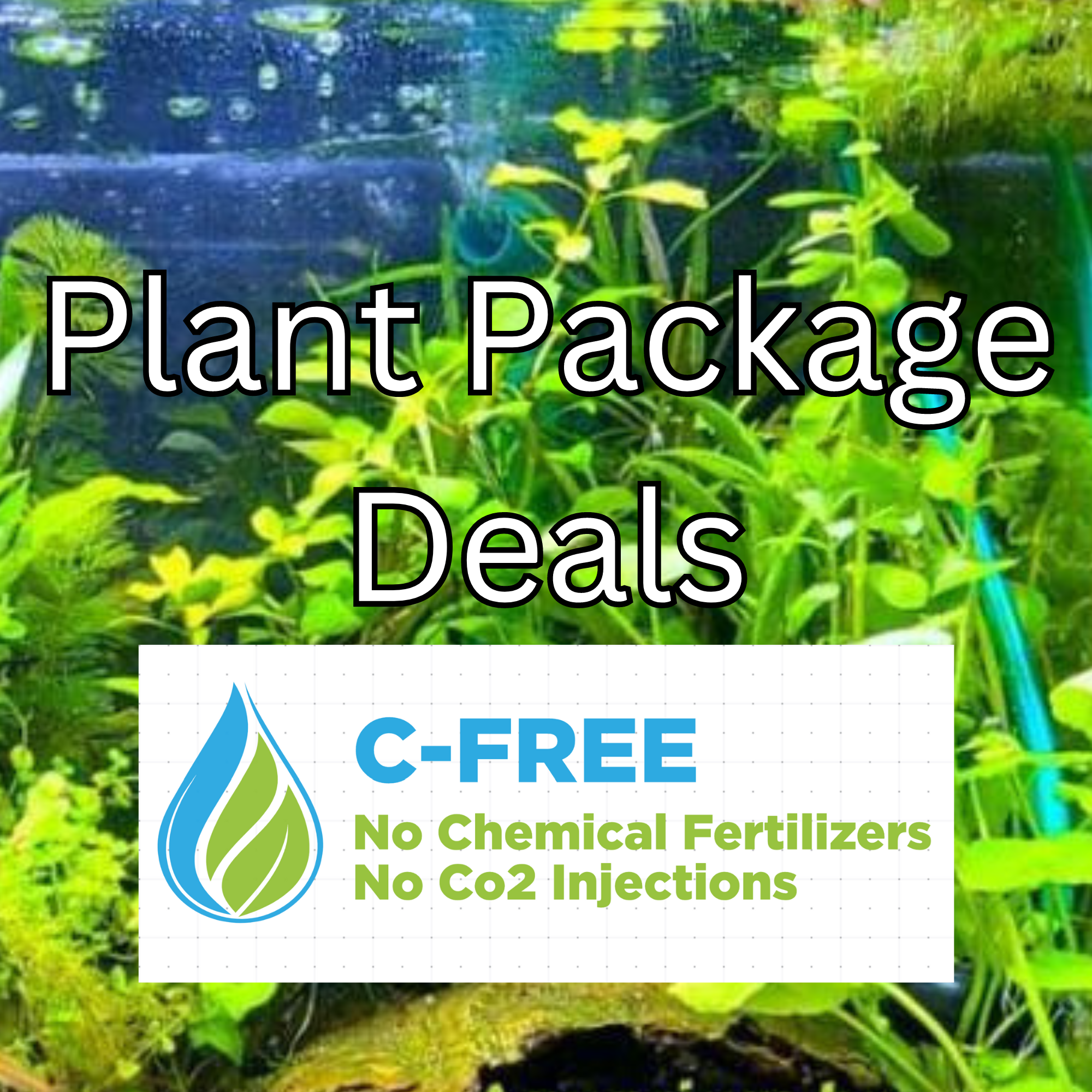 Plant Package Deals