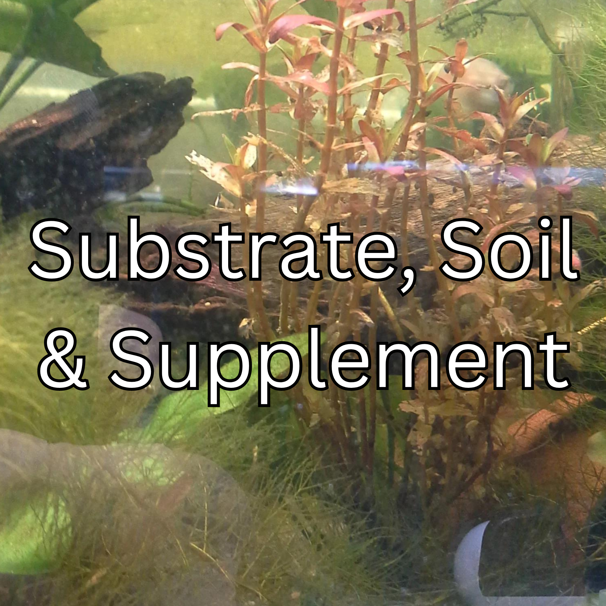 Substrate, Soil & Booster