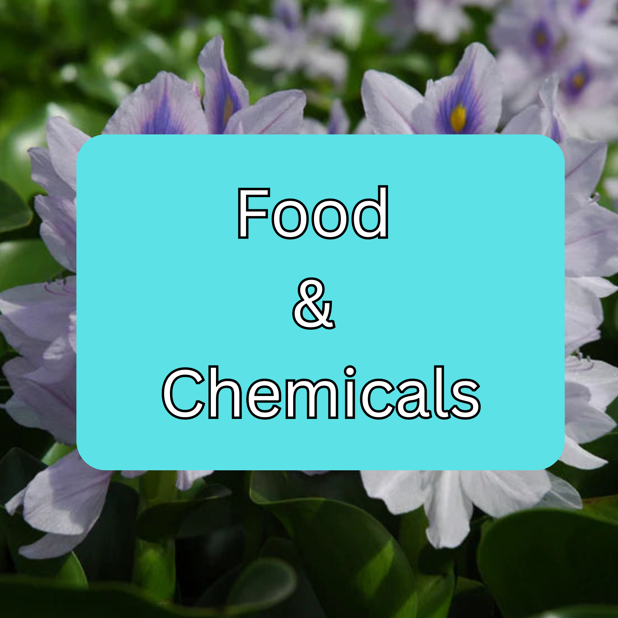 Food and Chemicals