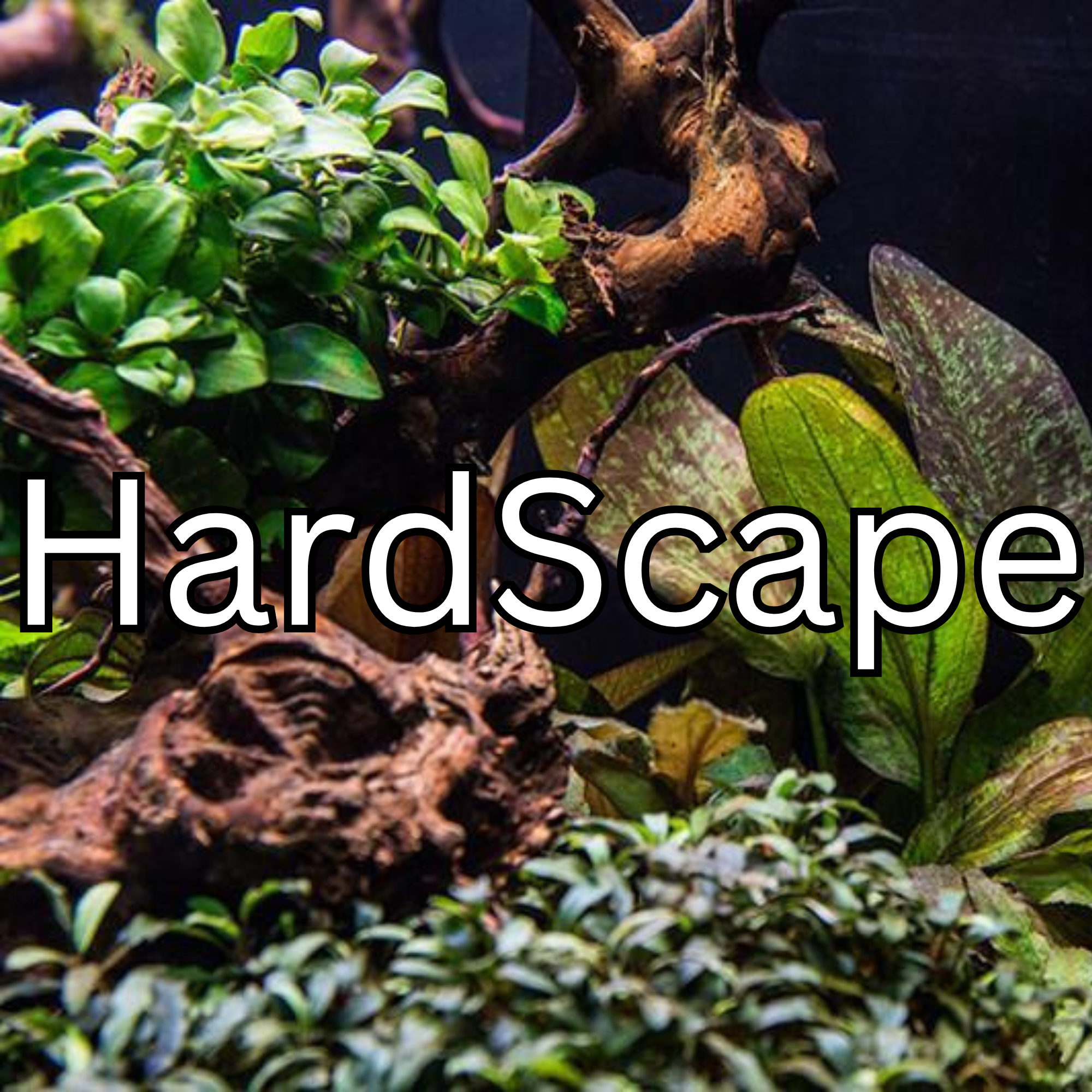 Hardscape