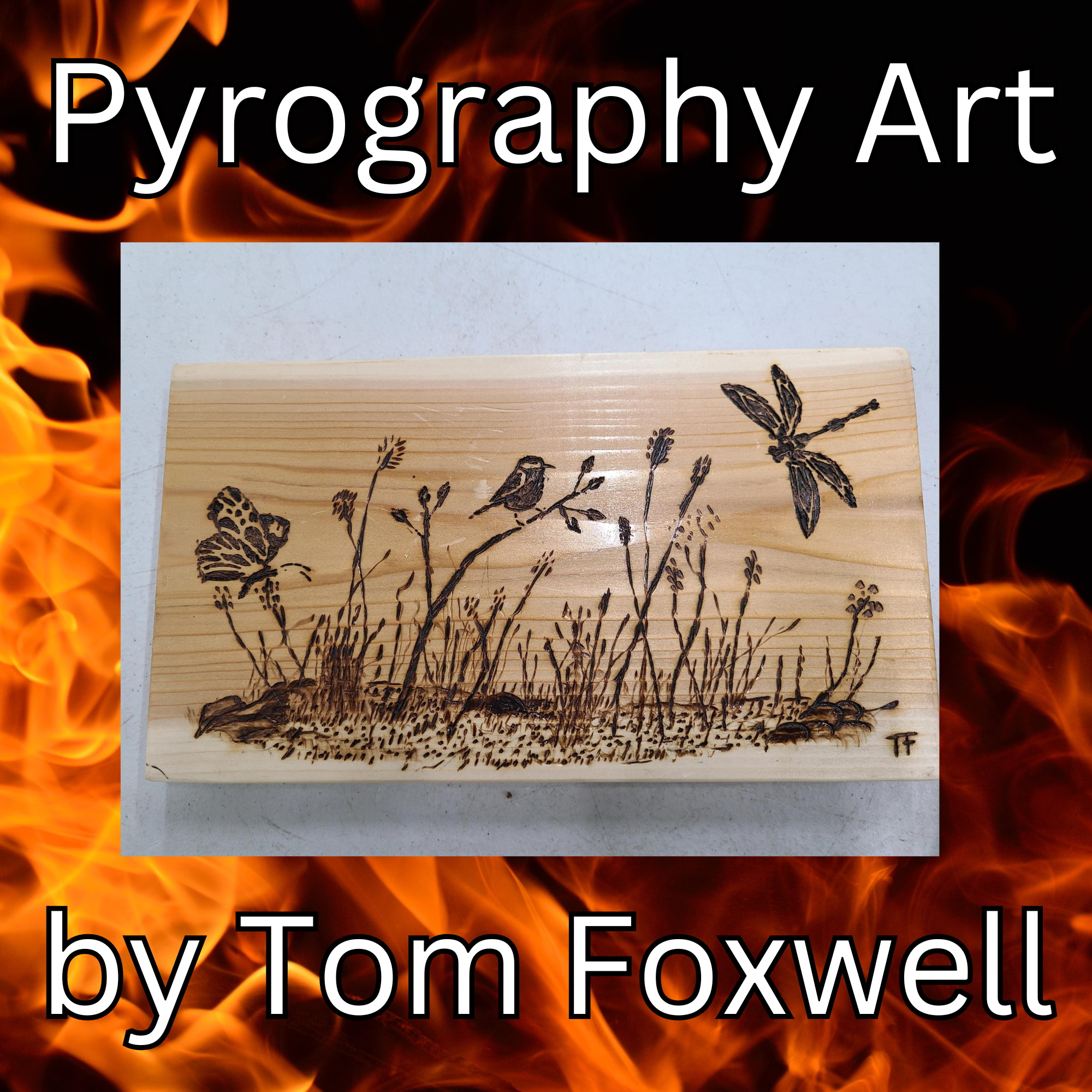 Pyrography Art by Tom Foxwell