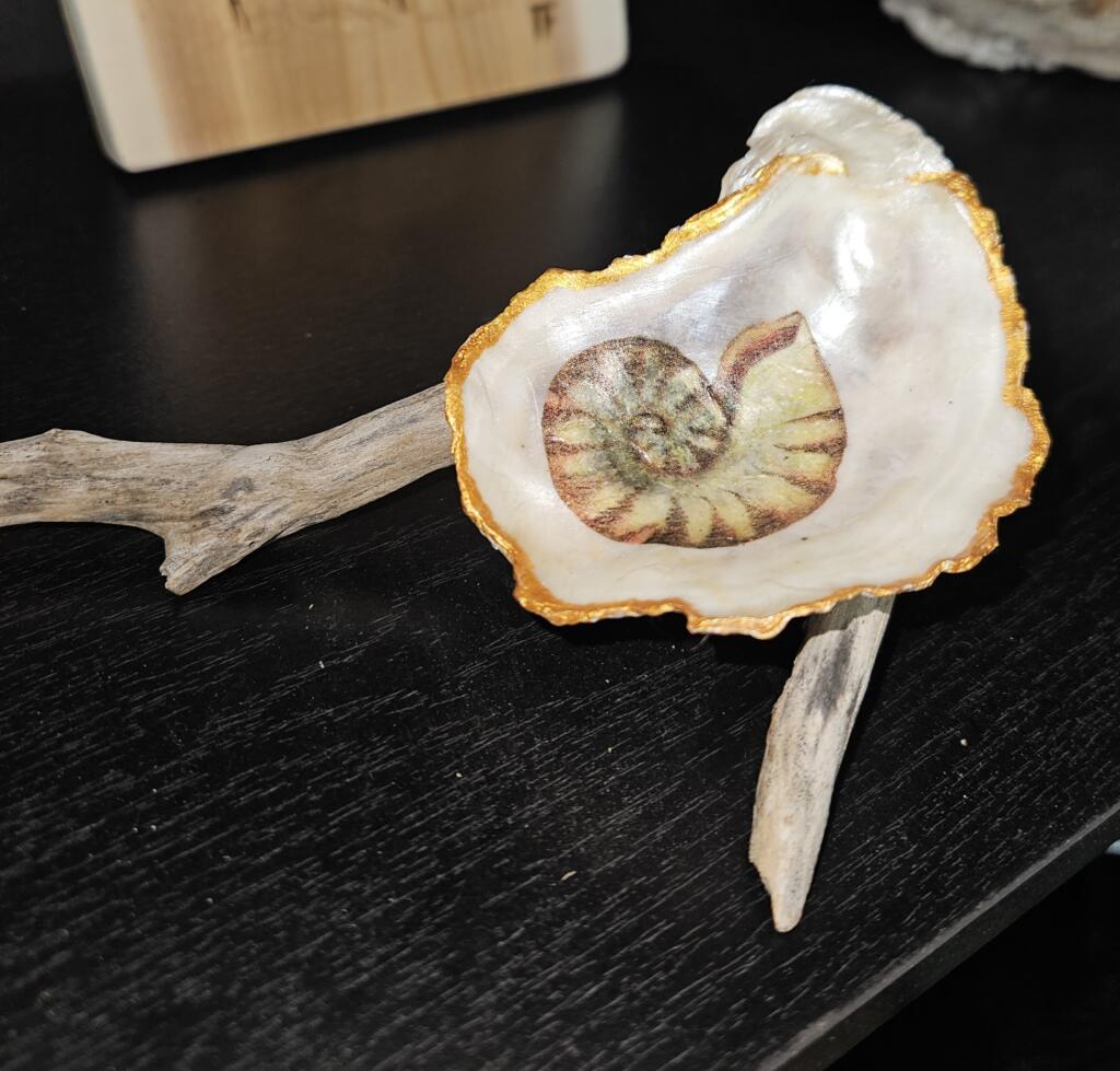 Bobbies' Jewels:  Driftwood sculpture with Deopauged Shell