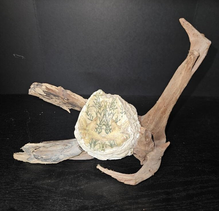 Bobbies' Jewels: Driftwood Sculpture with Green Leaf Deopauged Shell