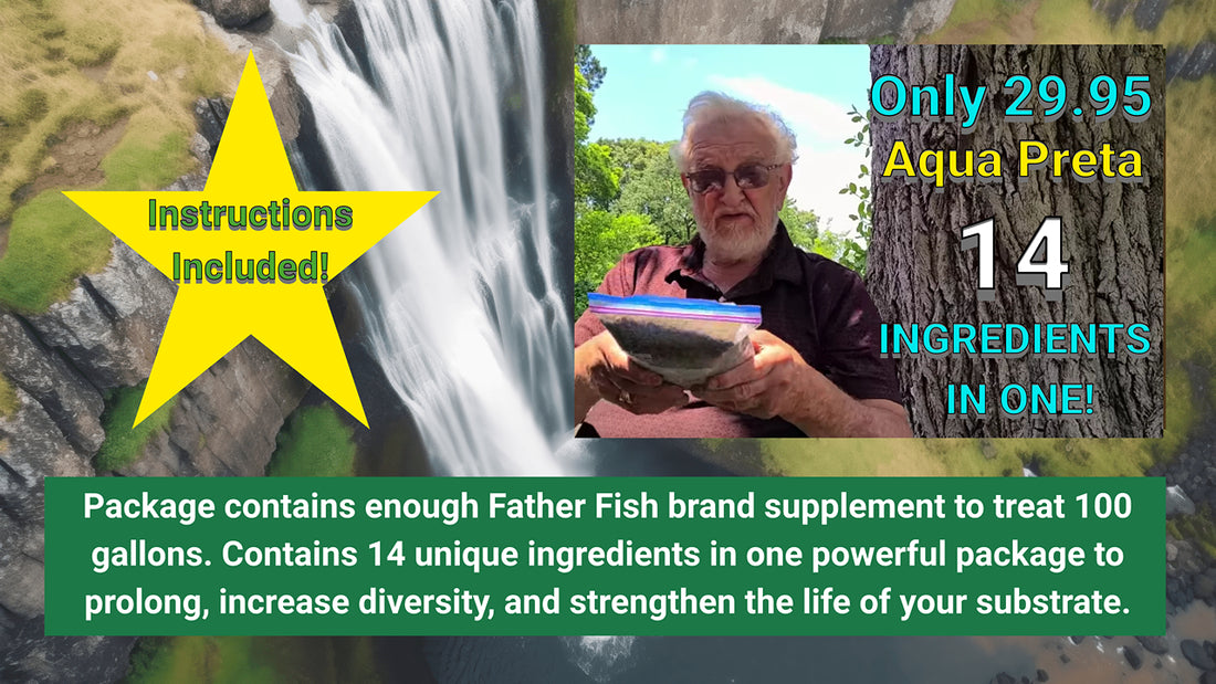 Products – Father Fish Aquarium