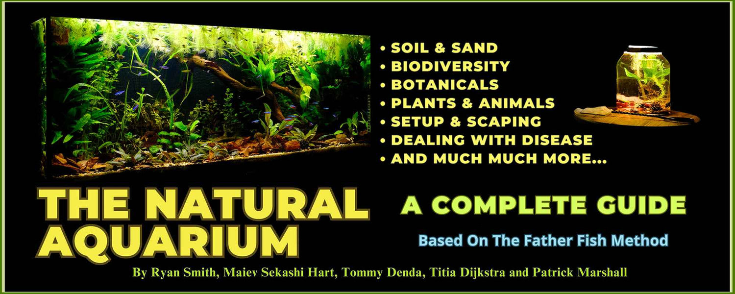 Welcome to Shoal β Father Fish Aquarium