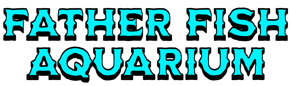 About us – Father Fish Aquarium
