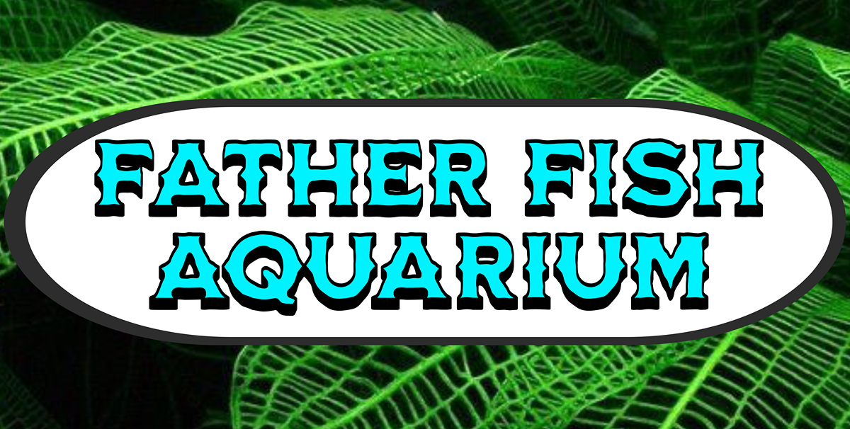 Father Fish Aquarium