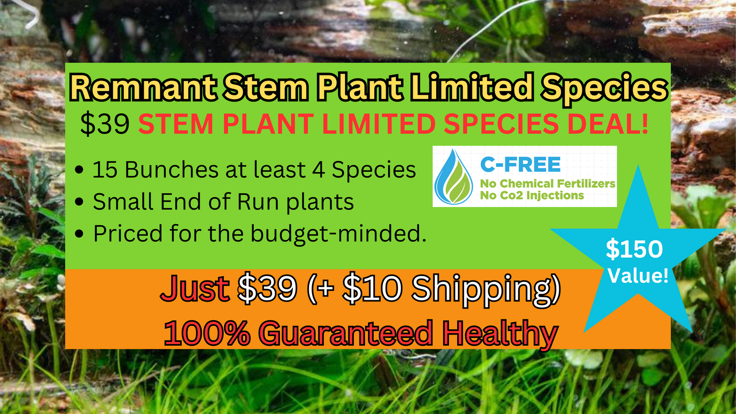 AAA Remnant stem plant limited species - 15 bunches, at least 4 species - (Hardy, No CO2 Required, No Fertilizers Required)
