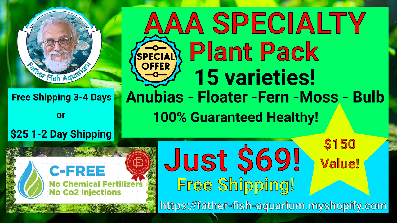 AAA DEAL SPECIAL Plant Pak - 15 varieties  - anubias/fern/moss/bulb/floater - C FREE(Hardy, No CO2 Required, No Fertilizers Required)