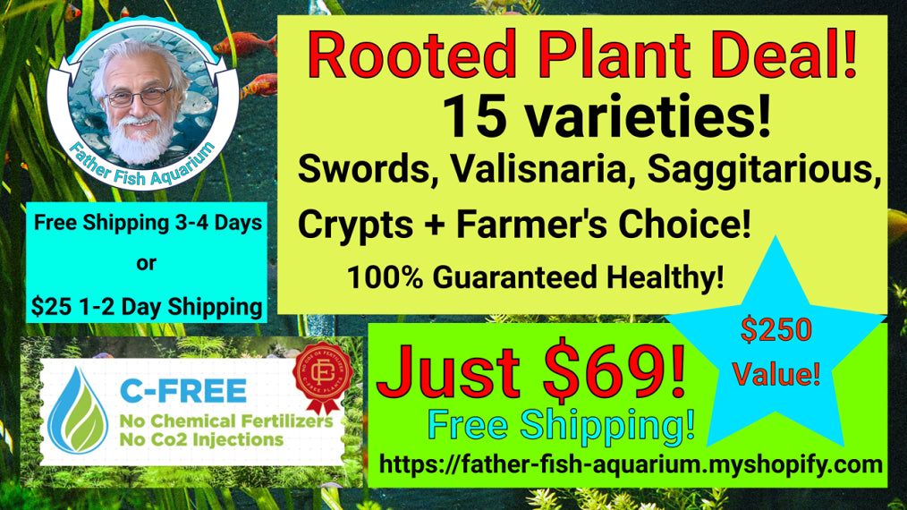 AAA DEAL Rooted Plant Pak - 15 varieties - sword, saggitarius, valisneria, crypt - C FREE(Hardy, No CO2 Required, No Fertilizers Required)