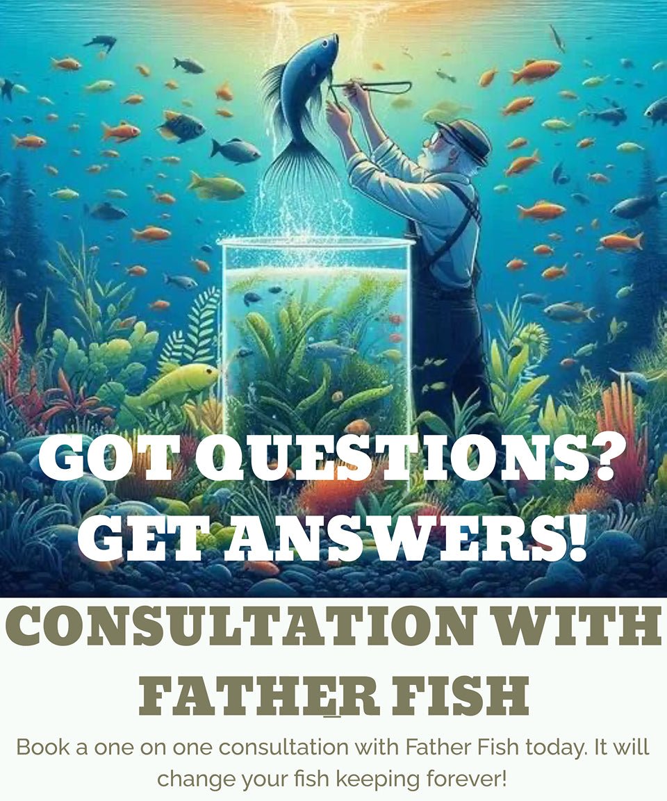 Consultation with Father Fish (15 minutes)