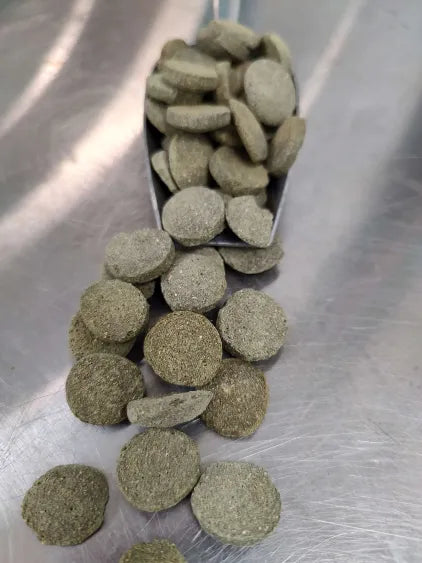 🐟 Premium Algae Discs – High-Quality Herbivore Formula (18mm)