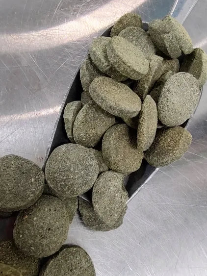🐟 Premium Algae Discs – High-Quality Herbivore Formula (18mm)