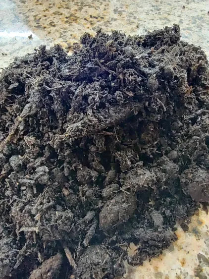 Close-up of Aqua Preta Complete Soil granules for 20–35 gallon tanks