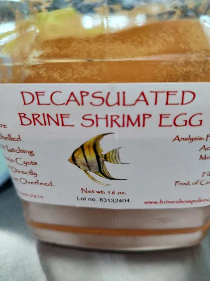 🐟 Dried Baby Brine Shrimp Eggs (Non-Hatching) – Protein-Rich Micro Food for Fry & Nano Fish