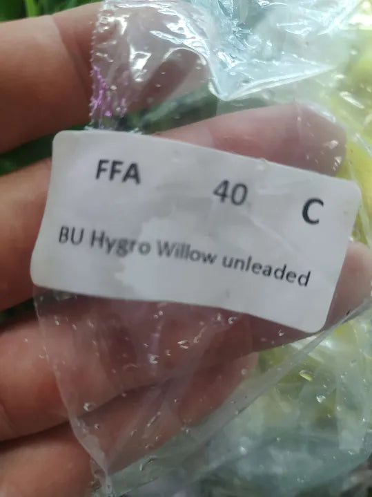 🌿 Hygrophila Willow (angustifolia) – Tall, Flowing Stem Plant for Background Balance