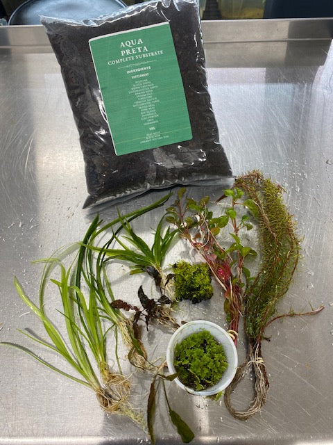 Small Father Fish aquarium starter kit with live plants and Aqua Preta natural substrate for 0–10 gallon tanks.