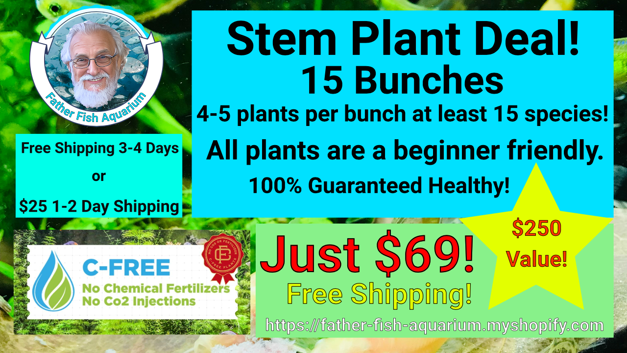 AAA DEAL STEM PLANTS -15 bunches of 4-5 per bunch, 15 species  - C FREE (Hardy, No CO2 Required, No Fertilizers Required)
