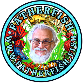 Natural Aquariums & Low-Tech Tanks - Shop Father Fish Now β Father Fish ...